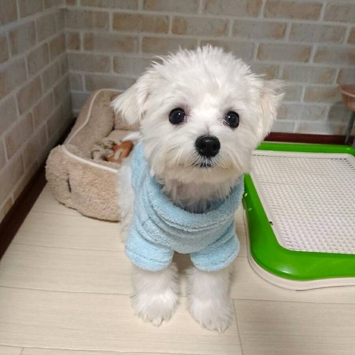 E0915269 f9df 4b3c acaf 688fc8e15418 1510731203447