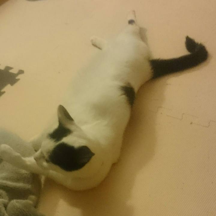 E09152c6 8194 4d81 a0dc 1a7715c8b531 1520935180190