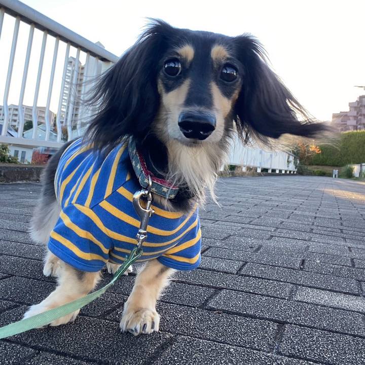 E09156ba 9cfc 4e5b 88d1 343e543548db 1762906907683