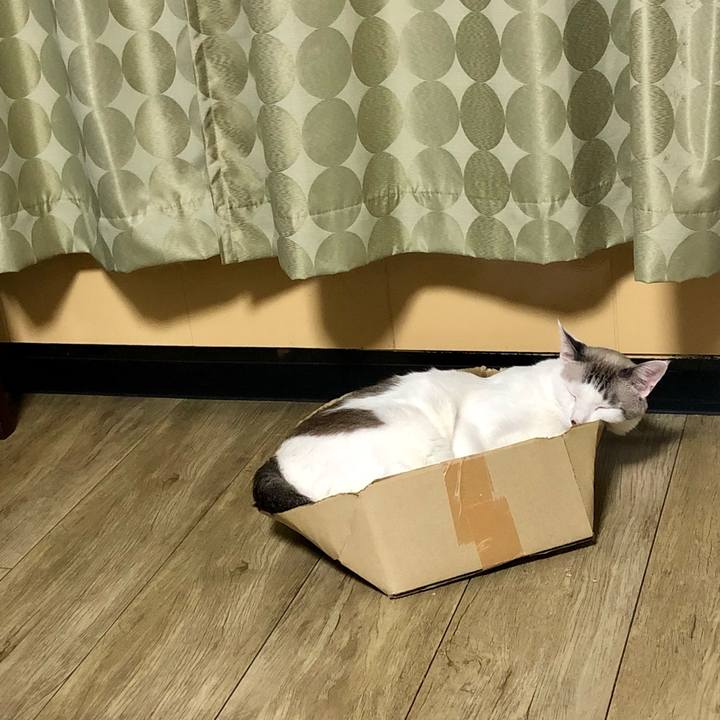 E09158fe e49a 4161 aa6b 88d6fc5c1c4e 1662121451682