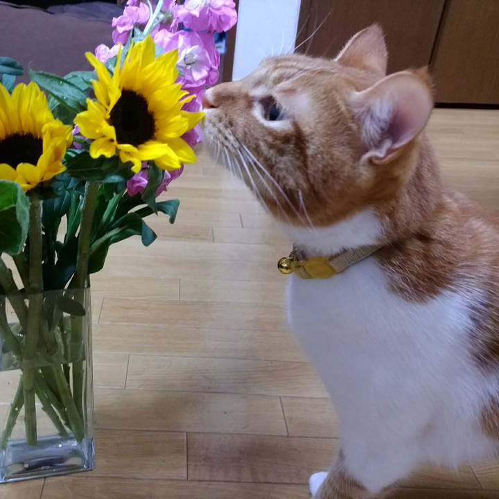 E09160a4 2961 46d7 9234 4a705450d99d 1559742436941