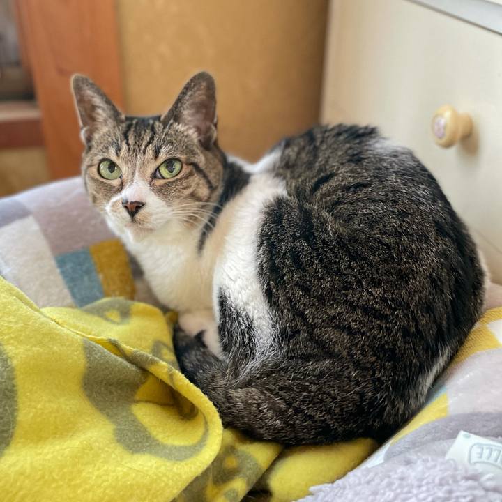 E0916367 c964 4f8c aae9 84dfc9166b6d 1618452164686