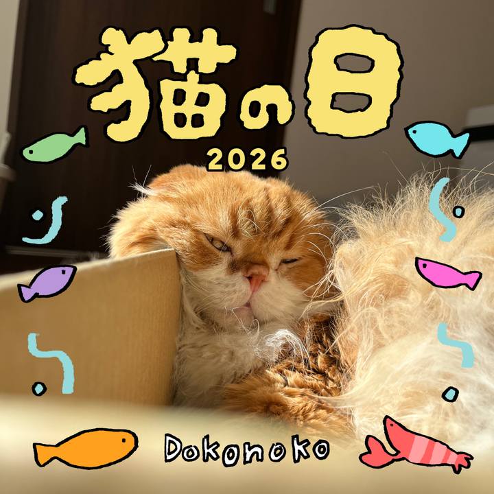 E0916489 1dd4 472f 8194 08da424c3ca5 1771729991683