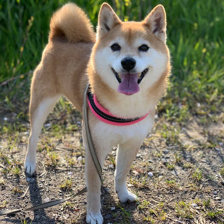 E0916c6a 8f8b 4297 ac8e a57ac5e43027 1586262249912