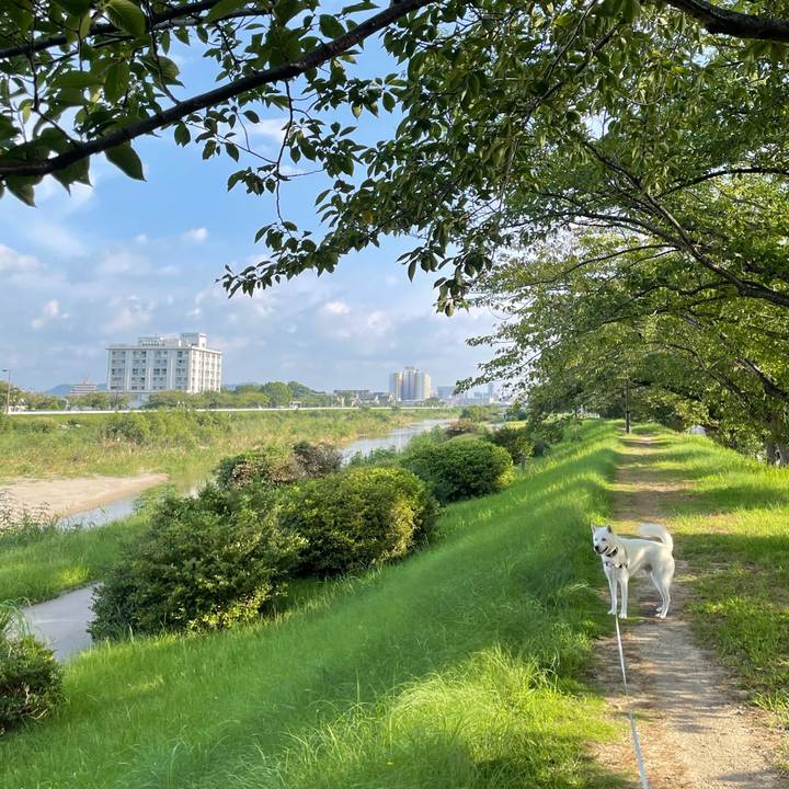 E091880c 43ba 4a2b 9fa2 27454f9db9a1 1661640367359