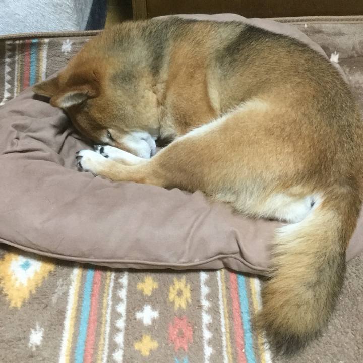 E0919cd9 b0dd 4f48 a09f efe9fded804f 1560171473912