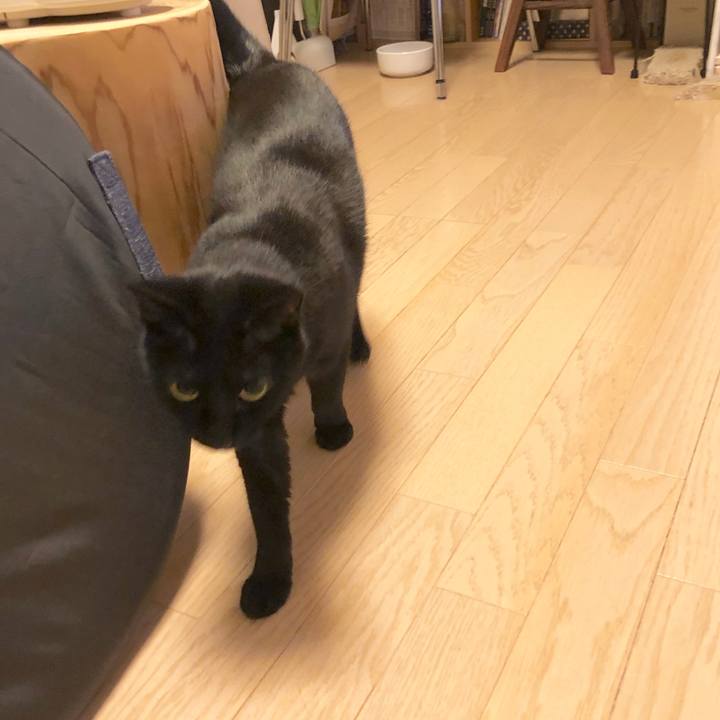 E091d938 299c 40d9 ba97 990d1893d1ef 1582293496873