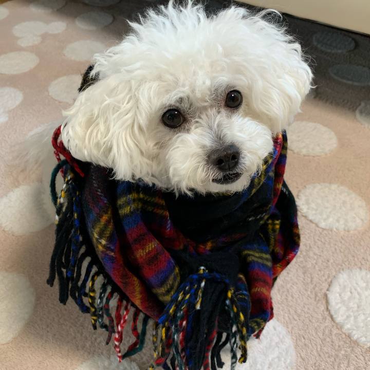 E091f37a b0e6 490e 8bff 9be963e21311 1577229269086