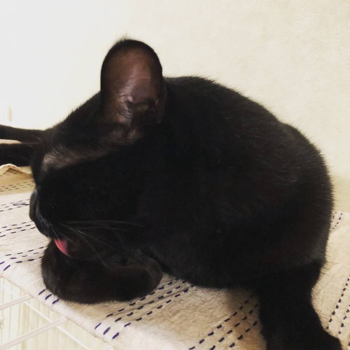 E0920d62 944a 4d07 a287 75a36c57e4a2 1532523583490