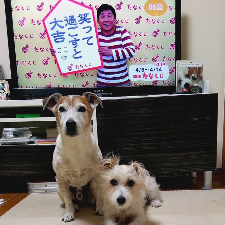 E09227f2 2b8c 44a9 8d1f 59ca1c46be12 1554675956894