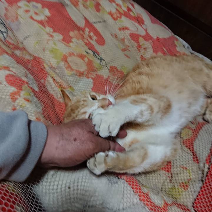 E0922cf7 d8d7 4d60 93cb 17b8c8178d3e 1557143994701