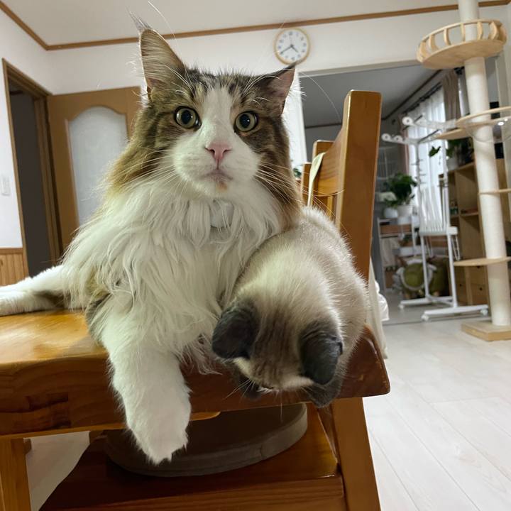 E09242b6 2c76 4d65 8916 ccbafe3ac9fa 1689882135781