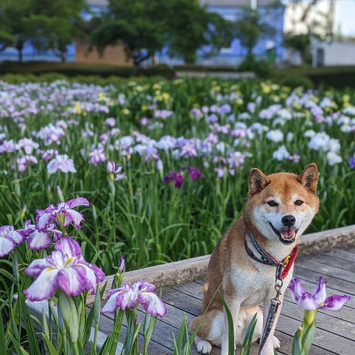 E092430f 4b3e 4c75 a147 45d752c19bd6 1717501057112