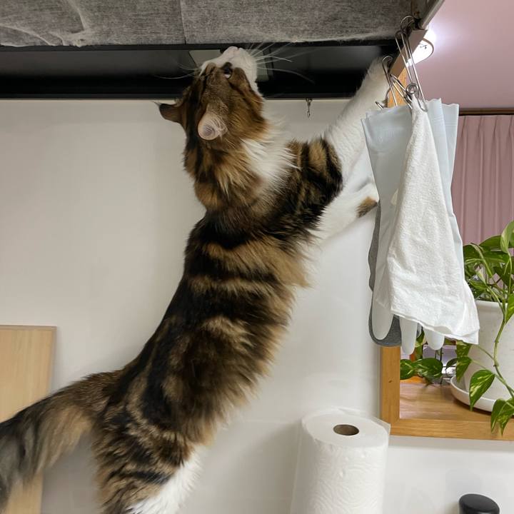 E0925e0b 00d3 40f5 b354 a573df0907d4 1654778741183