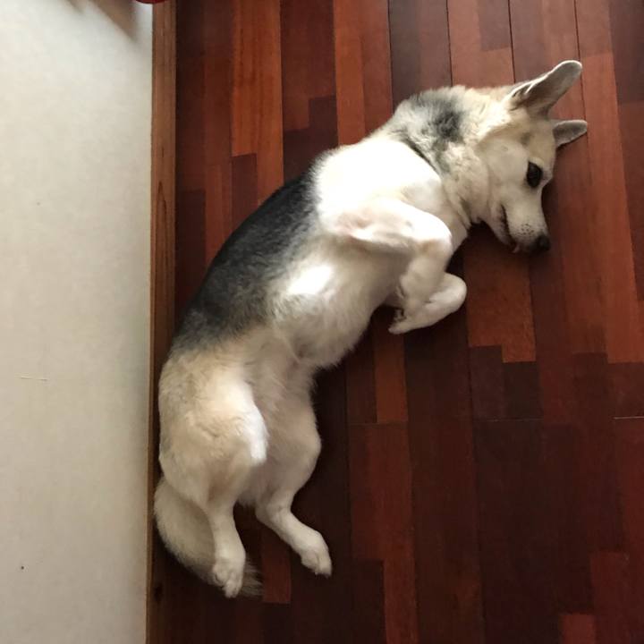 E0928842 d20c 4402 bd68 631ac4f373a8 1562305178610