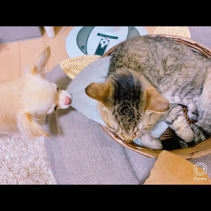 E092a092 13f2 4f55 952c 1c9ead0029be 1697633284261