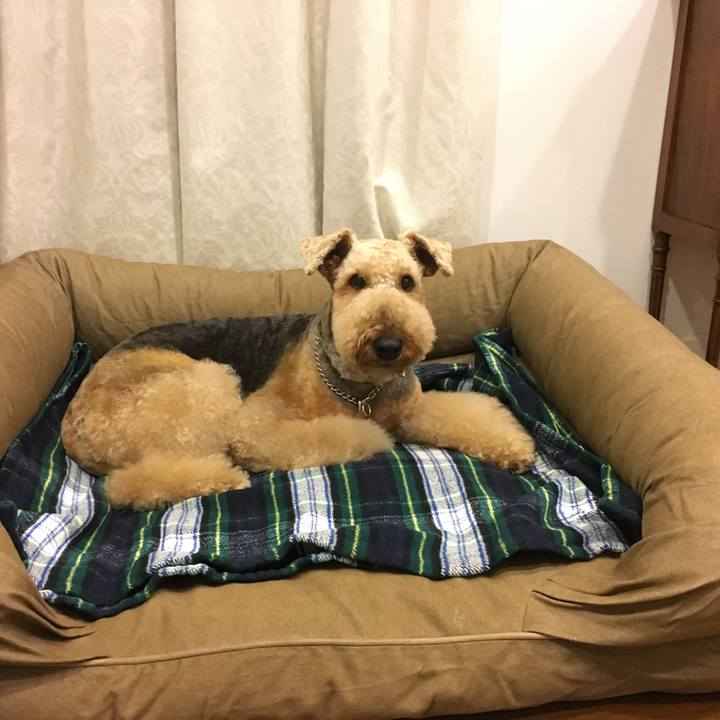 E092c48f 6733 49b8 bca5 0bfded199393 1541896970537