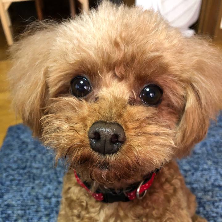 E0932cd5 2108 4e7a 9fc1 5e8c6d5656b2 1617500125276