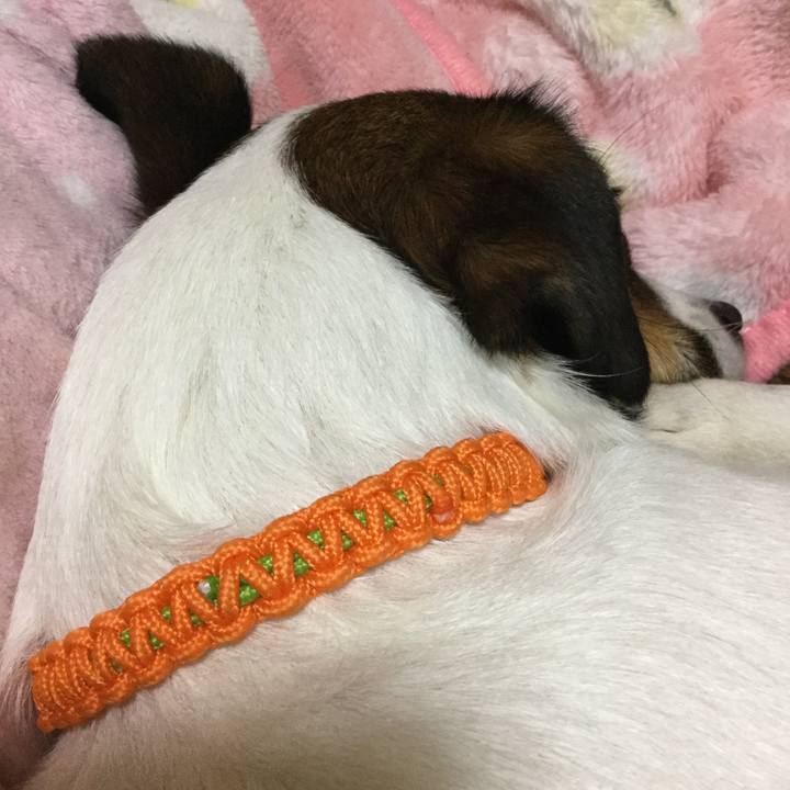 E0935947 7f28 49b0 912d 8aada1d0e563 1550238770381