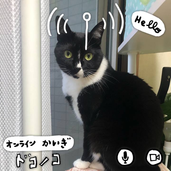 E0935962 6712 4ef1 9164 ce5726e546f4 1590811877704