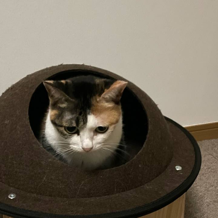 E0936551 c344 48d4 90c1 21286570e463 1663151439372