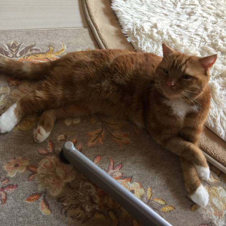 E0937666 fa5c 45f5 841a d105f424c5be 1537073310231