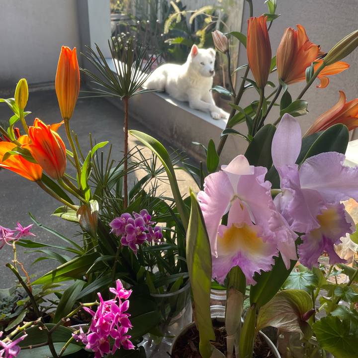 E0937d81 c221 40d3 8c4b 907dd6c19935 1737626420380