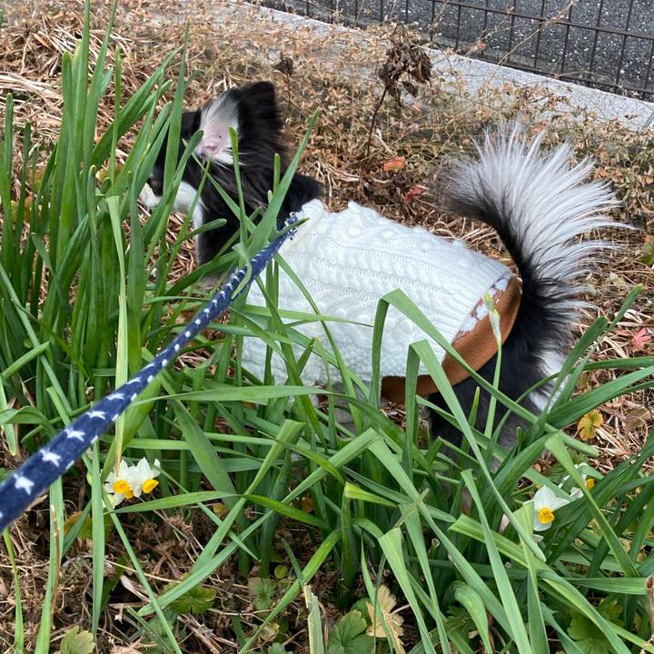 E0938509 cf18 4df7 bc37 4eaba01b93af 1643429310643