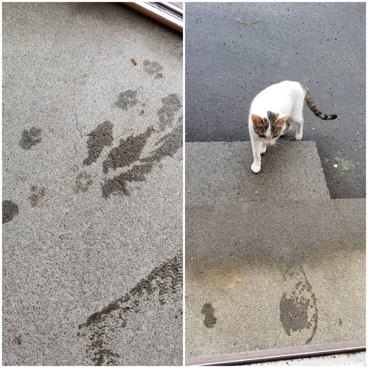 E09397f1 33b6 4845 8693 c4c64102c4b7 1566482826776