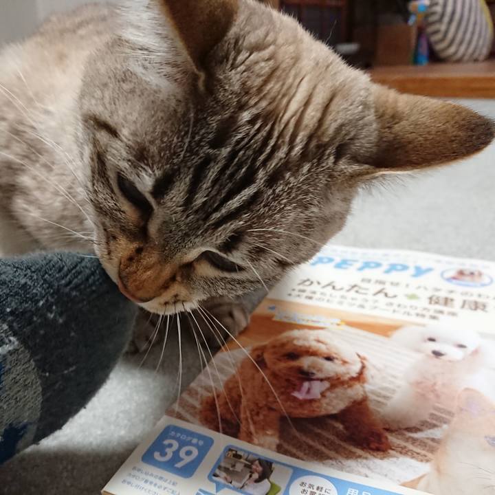 E093ac85 f4a5 4915 aaf9 3b3df3b3b9b1 1520593793266