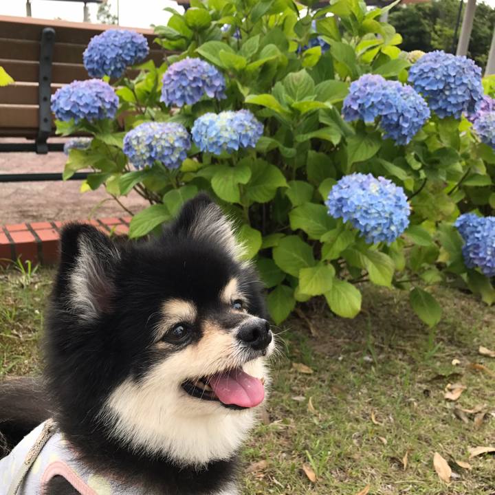 E093ae53 cb4a 4ff0 86a5 1cbaec3279ed 1591491153725