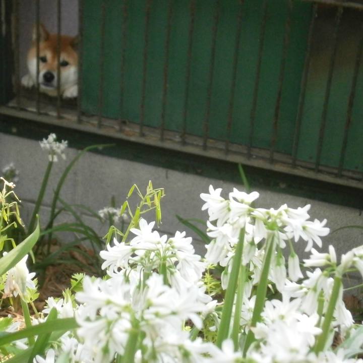 E093cae1 edef 4004 8468 410ce43f7257 1616561108490