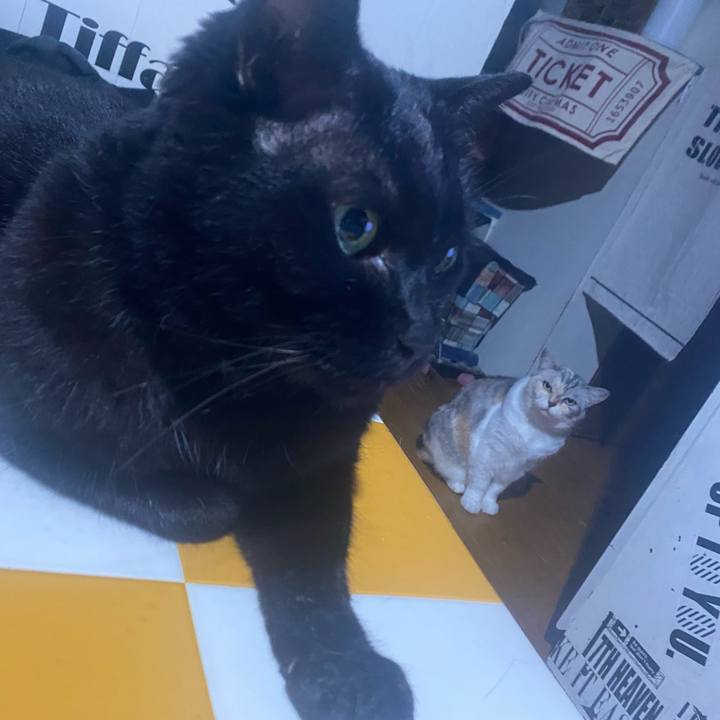 E093fad3 4ec0 4b76 9e28 a93b918f010e 1719764643561