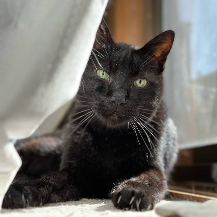 E09465fb 4523 461e 961d 599881aeacd8 1678069008713