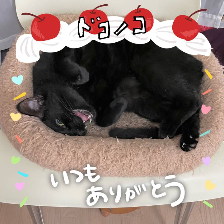 E094865b 67a2 4a01 af1d 2a74747f102f 1685968006354