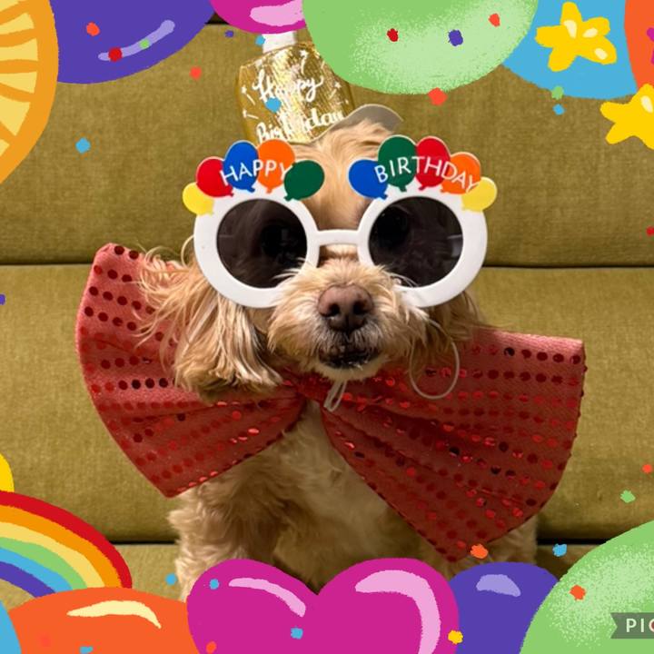 E094a4ea 0417 4f50 b252 223efe1f8380 1766492724335