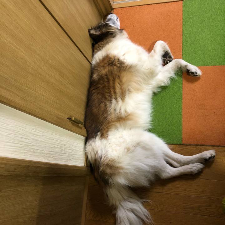 E094bcca ba7d 49a4 b03b a57924cbb2e6 1520592789010