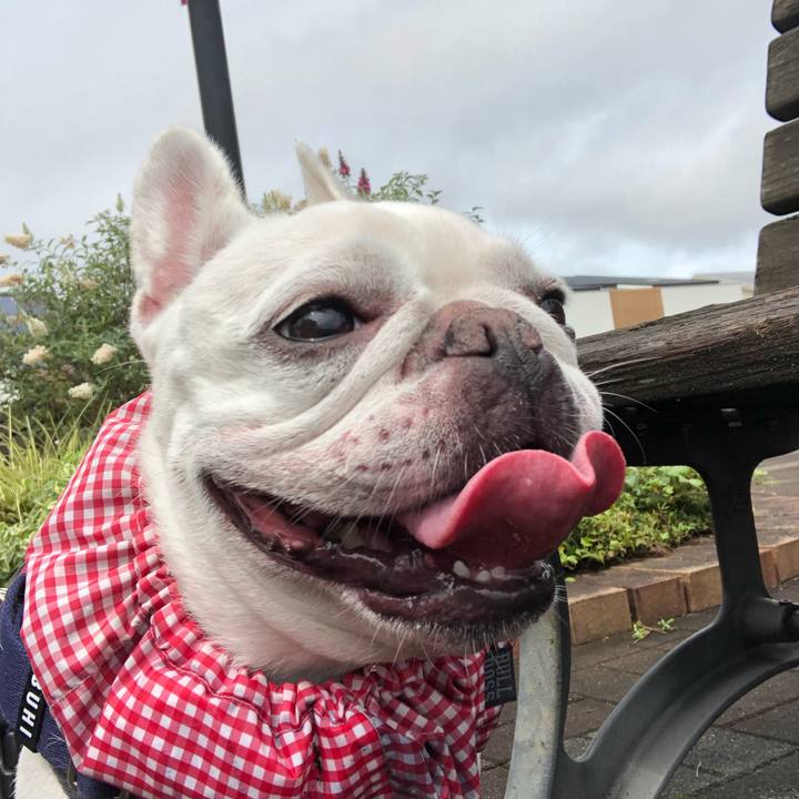 E094c15c 26b9 4f19 9bc4 e1899e56535b 1631933801997