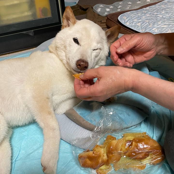 E094c3f6 f531 4d52 ab6f 20629a751ce1 1652883396907