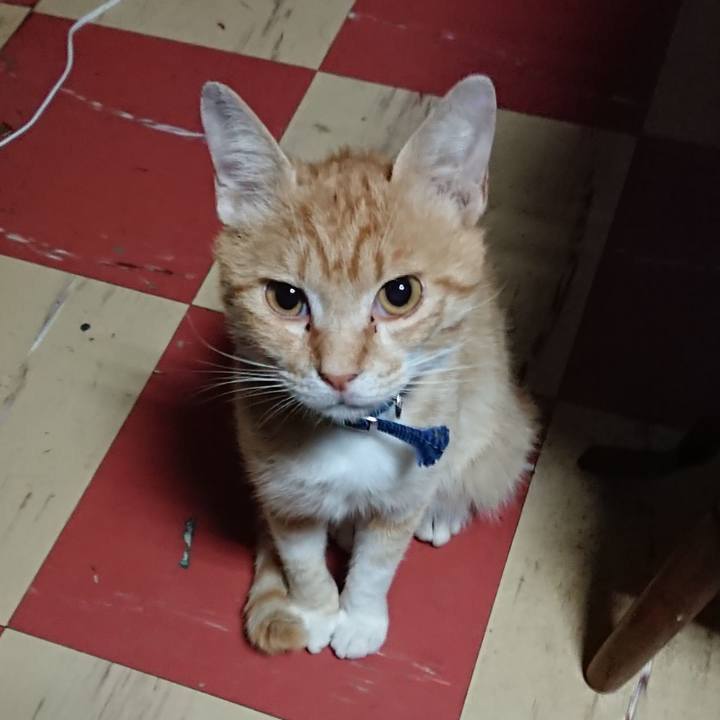 E094e738 1af1 4f10 9d52 a58a1f8c3346 1560109175083