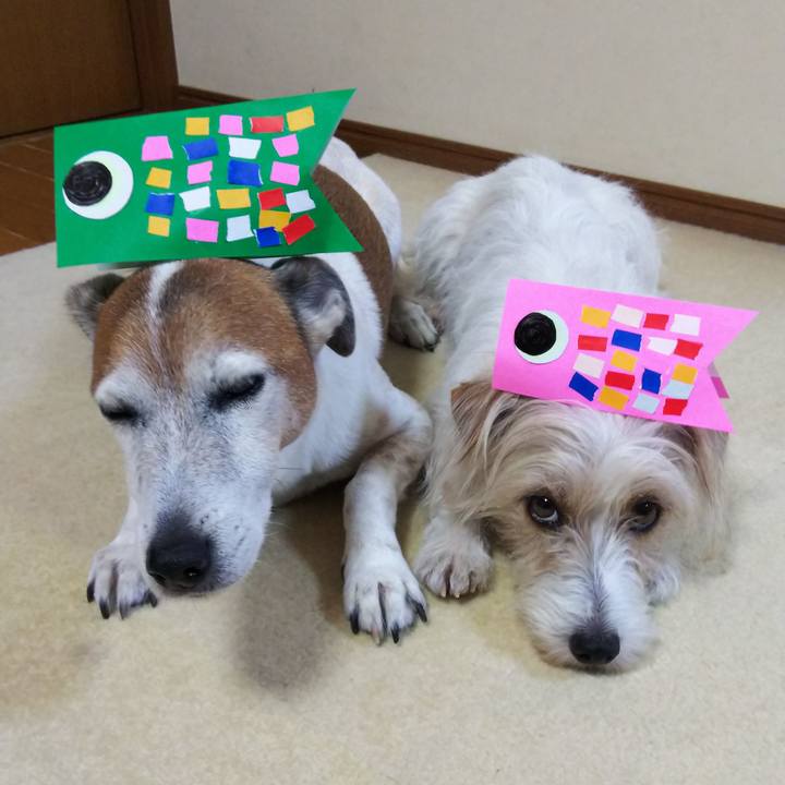 E0951e02 32ec 4391 97d9 a8f654a8f1a6 1525530175189