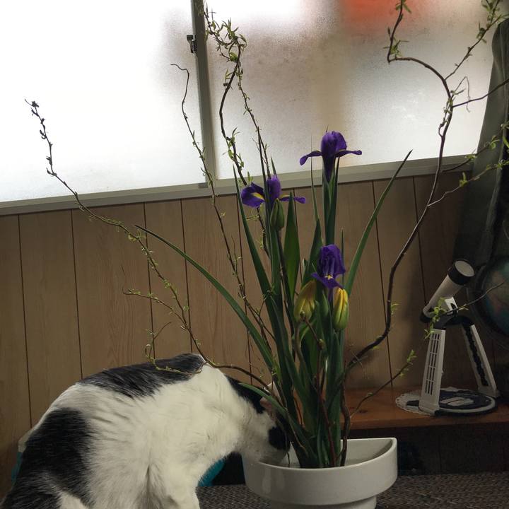 E09564b4 ed39 489c 880a 7dcc90ec56f2 1518741526168