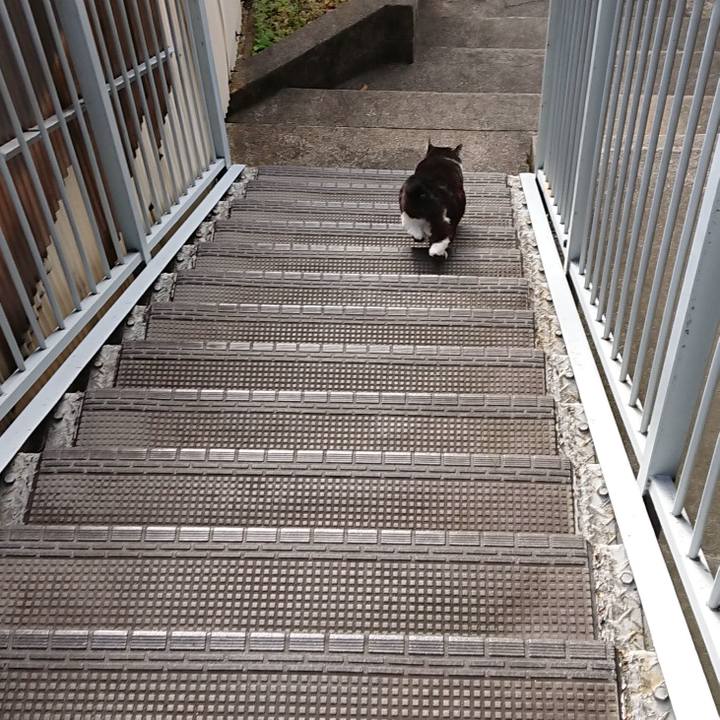 E09570af 8ac7 42e8 913e 731bfc8f1d91 1589498106925