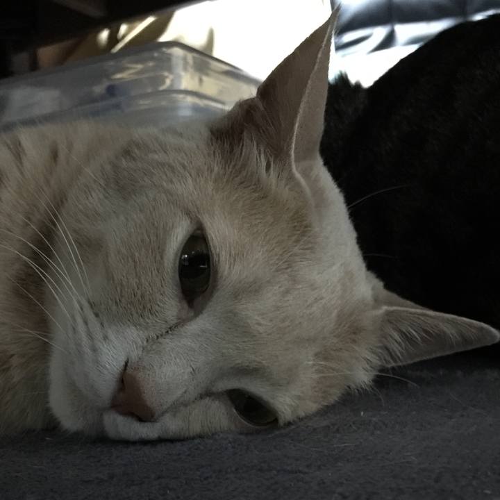 E0957772 2fa0 4f88 94ea 0cbea9177674 1531136451852