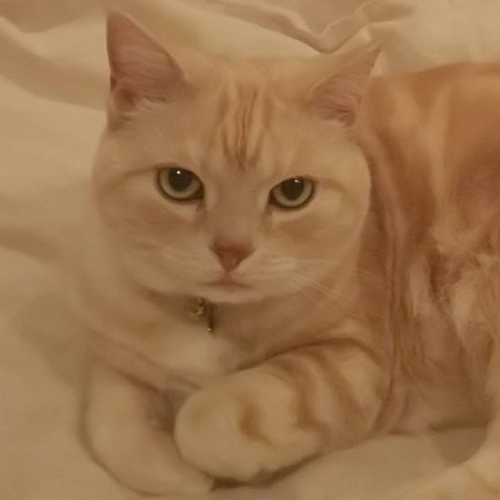 E095b7c8 a990 4074 a602 e231e890441e 1588408596427