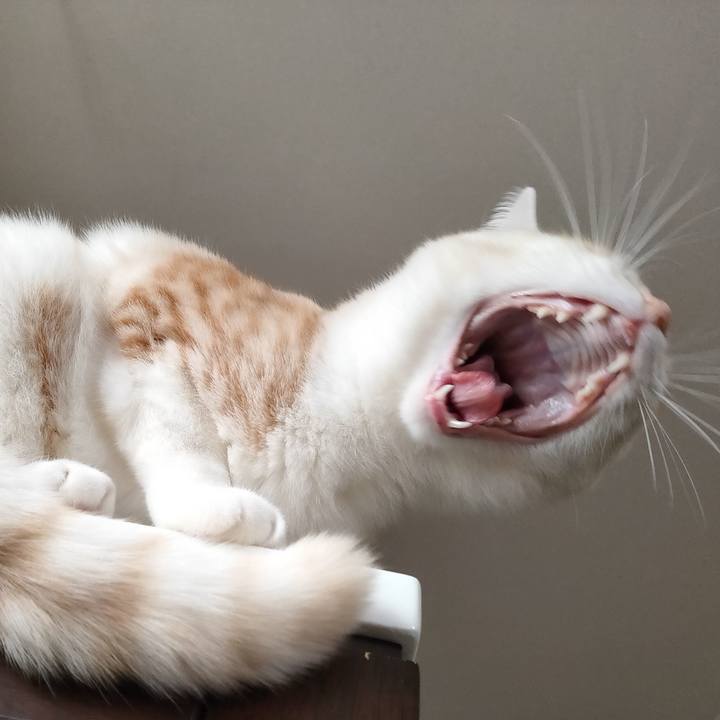 E095c489 8897 4c0b b4d3 bf2ea9d56533 1670546473687