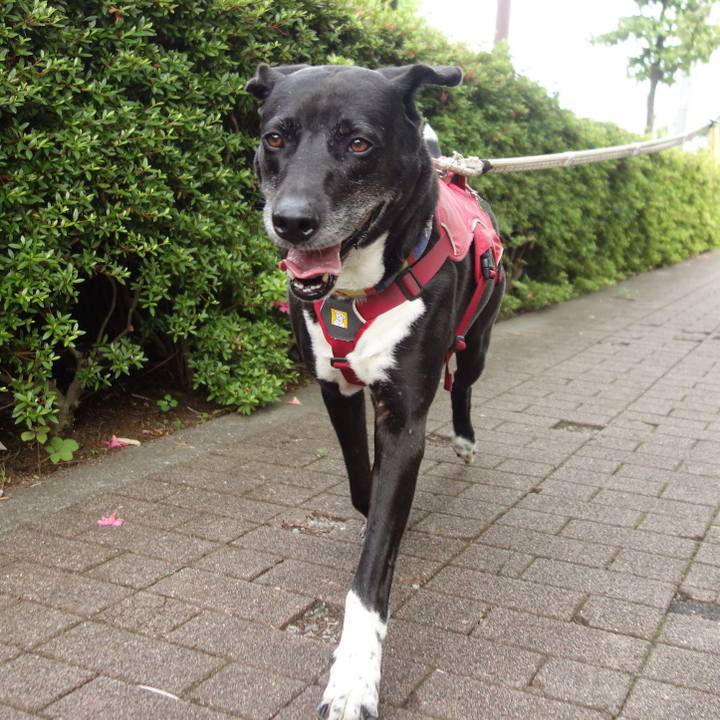 E0960ff1 49f2 455f abdb 250dc365a731 1685061528304