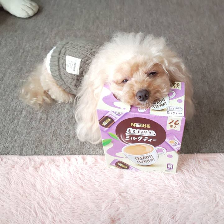 E0963b3b 979c 4b71 9c44 cbc3bf0e223b 1574336294303