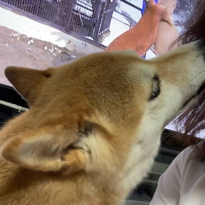 E0964b05 f2f8 4da0 8d72 700f353945f2 1624103971415