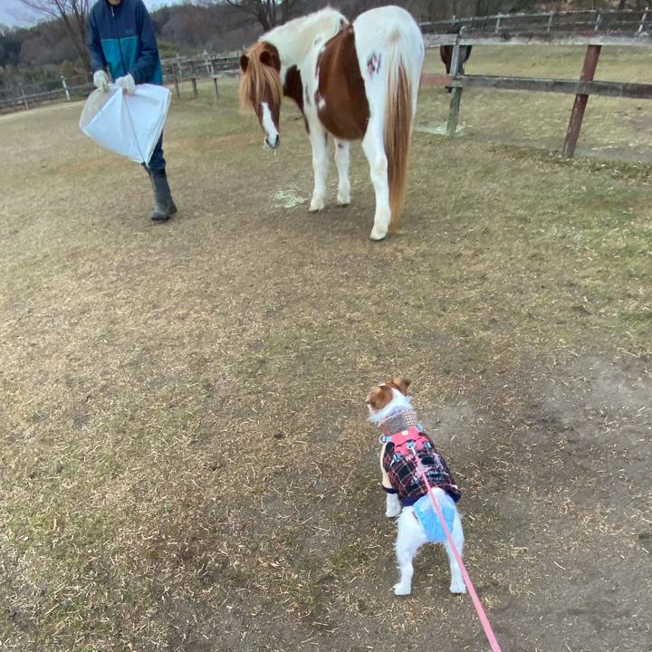 E096523b 29aa 49e5 b24b be2ecdfd27eb 1704109334790